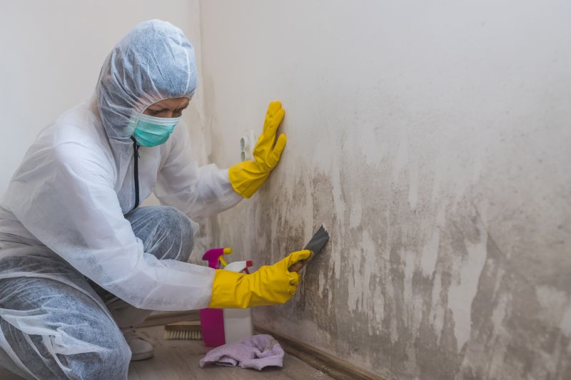 Attic Mold Removal in Broward County, FL