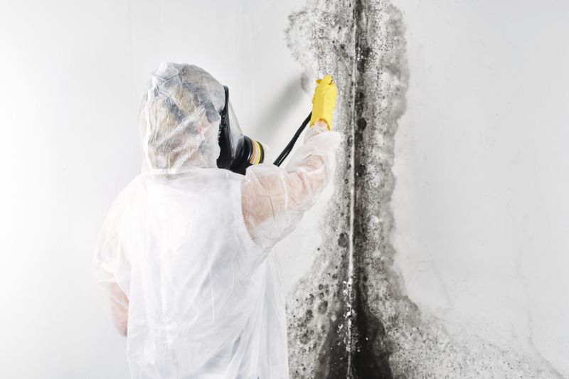 Basement Mold Remediation in West Palm Beach, FL