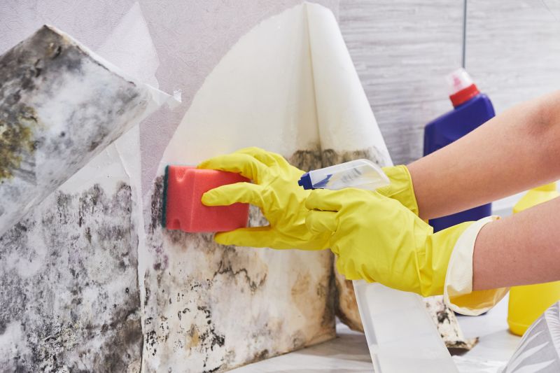 Basement Mold Removal in Dallas, TX