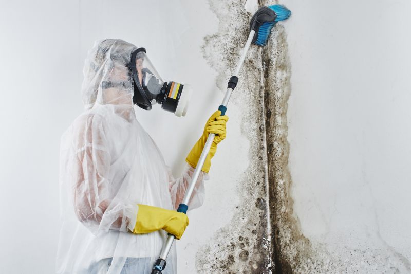 Ceiling Mold Removal in Dallas, TX
