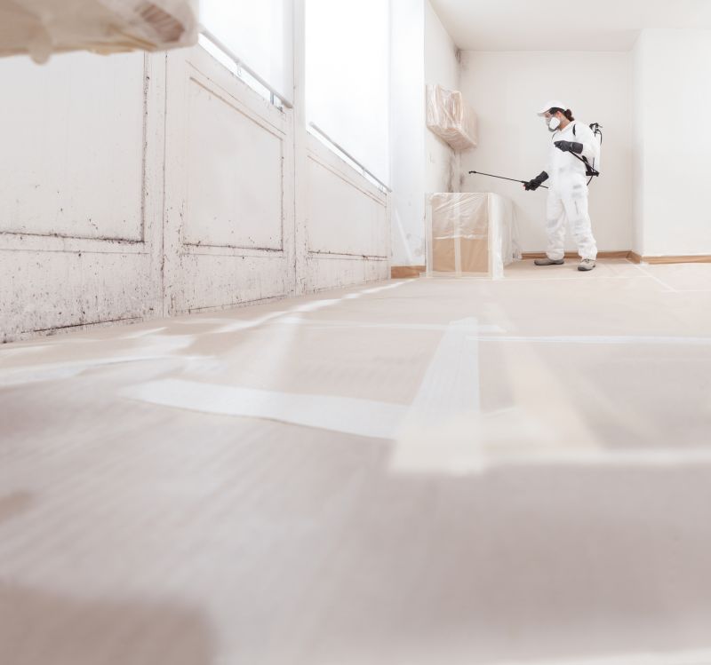 Crawl Space Mold Removal in Fort Worth, TX