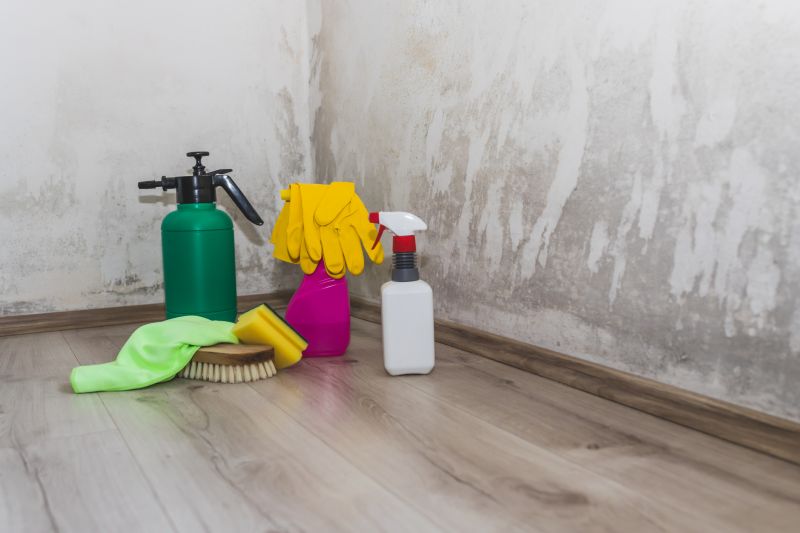 Mold Cleanup Service in Broward County, FL