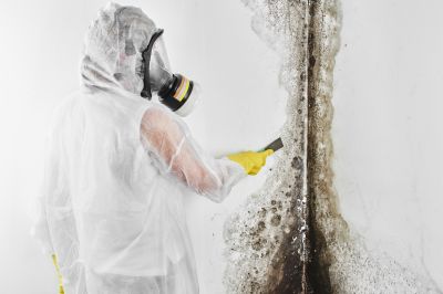 Mold Mitigation Service in Fort Worth, TX