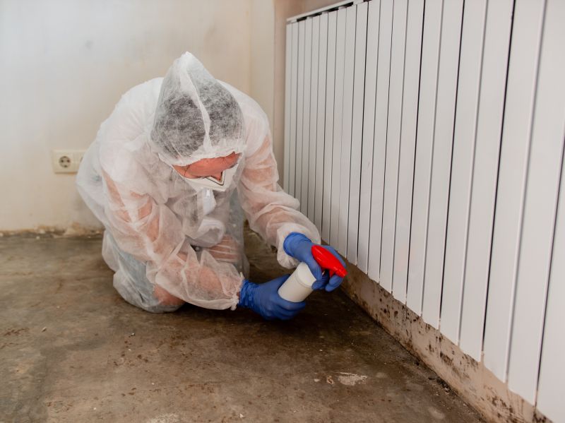 Mold Remediation Service in Jupiter, FL