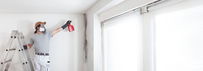Mold Removal in Broward County, FL