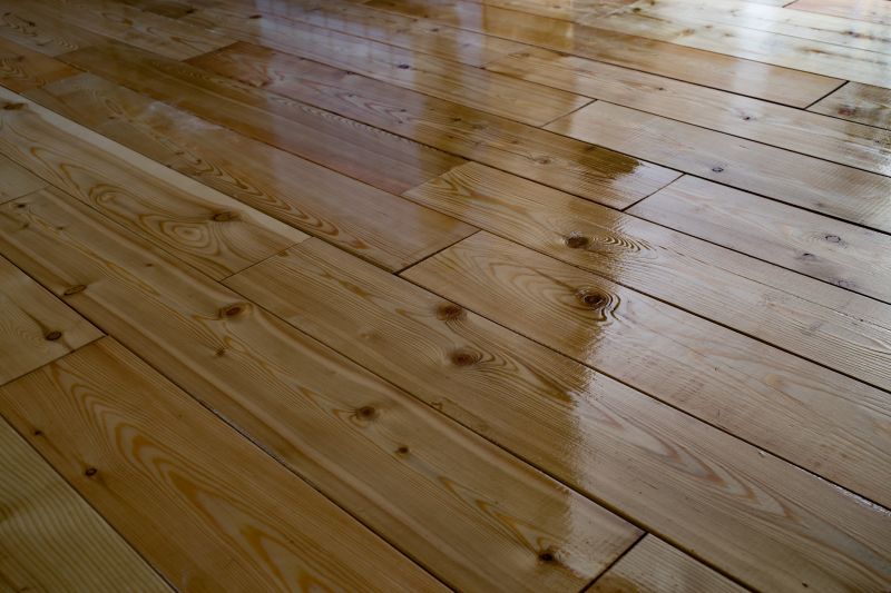 Wood Floor Cleaning