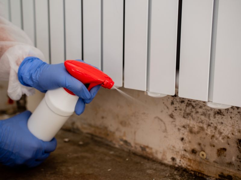 Attic Mold Remediation in Boca Raton, FL