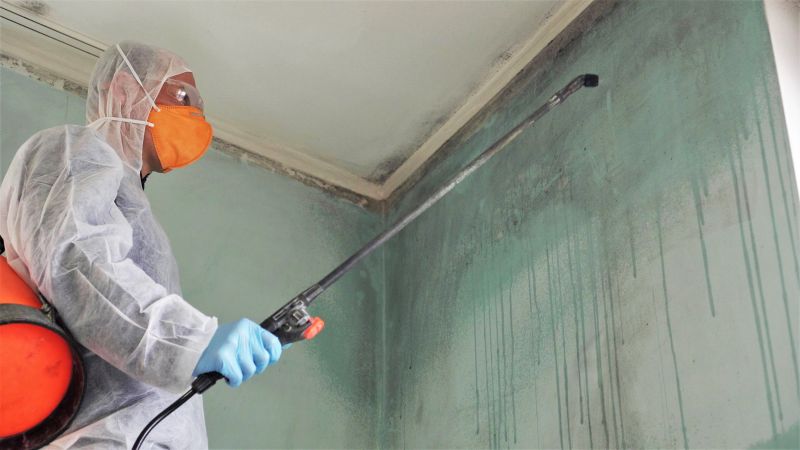 Attic Mold Remediation in Jupiter, FL