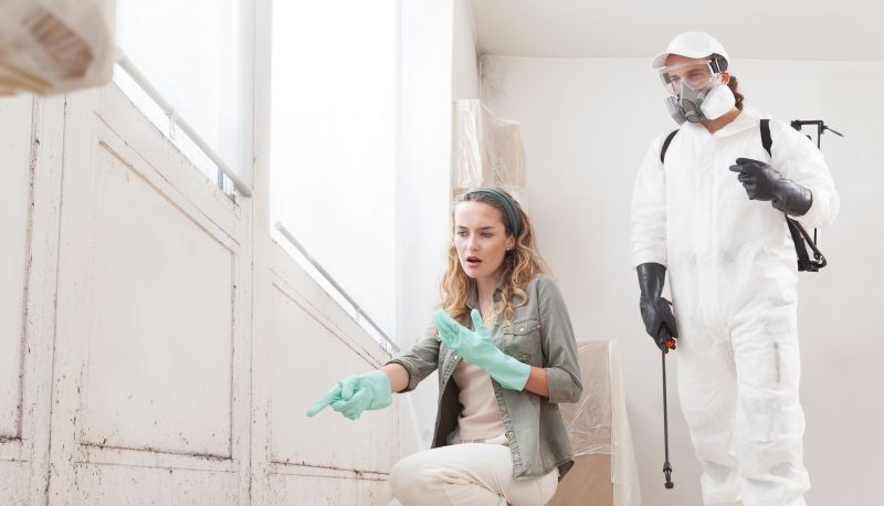 Basement Mold Remediation in Fort Lauderdale, FL