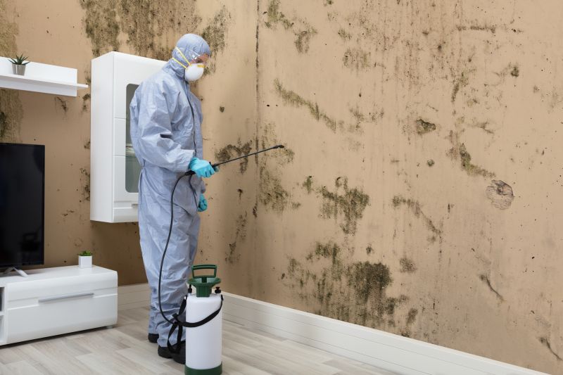 Black Mold Removal in Arlington, TX